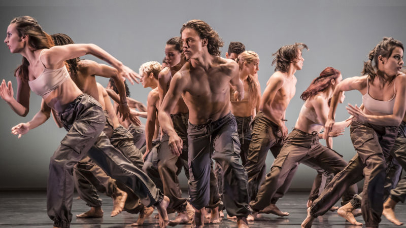 ANATOMIE APPLIQUEE A LA DANSE - Sport et loisirs | Rakuten