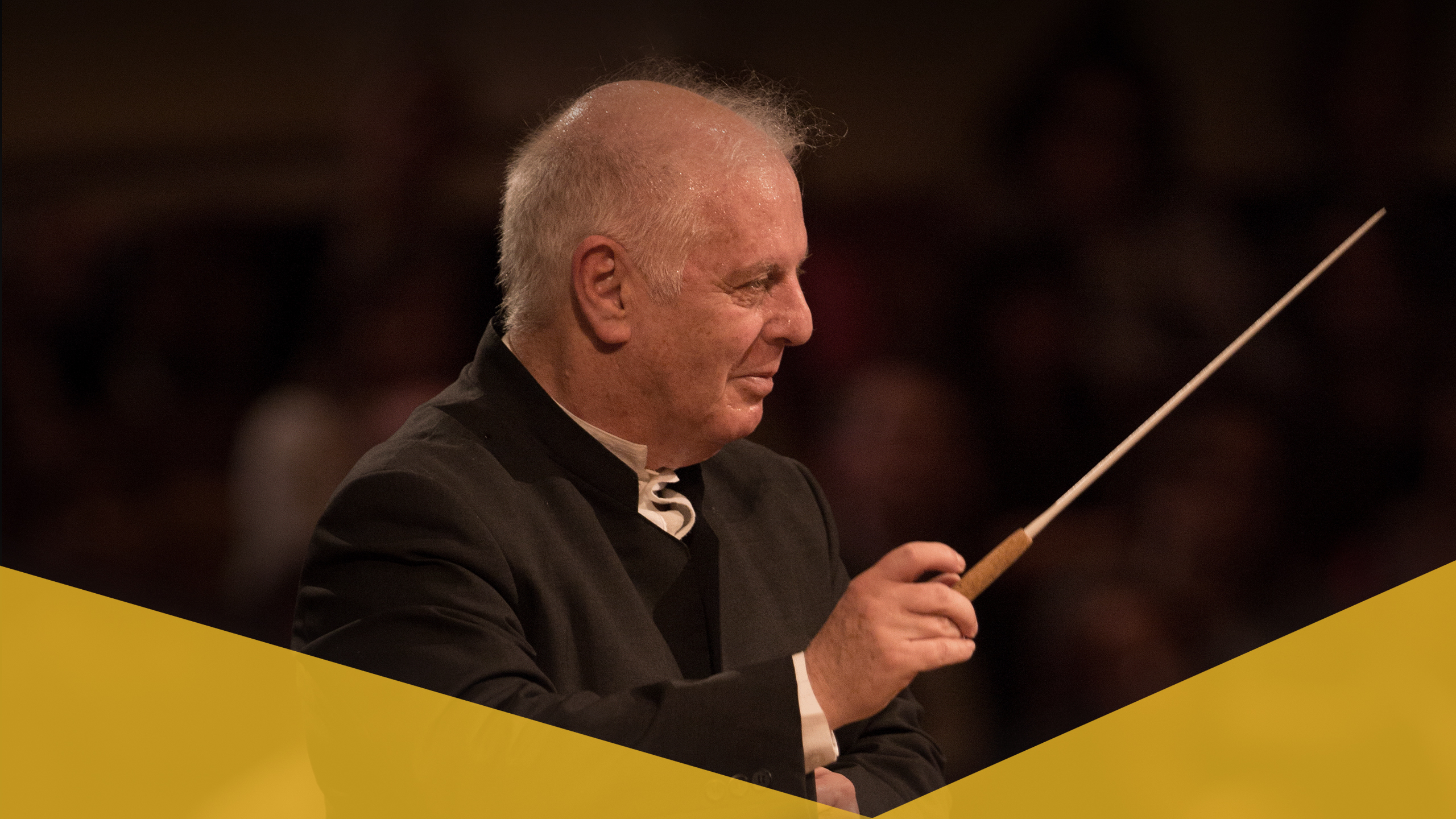 The Berliner Philharmoniker's 2014 Europakonzert — Berlin